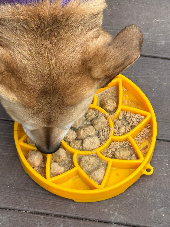 Sunflower eTray Shallow Slow Feeder Dog Bowl for Enrichment | USA Made