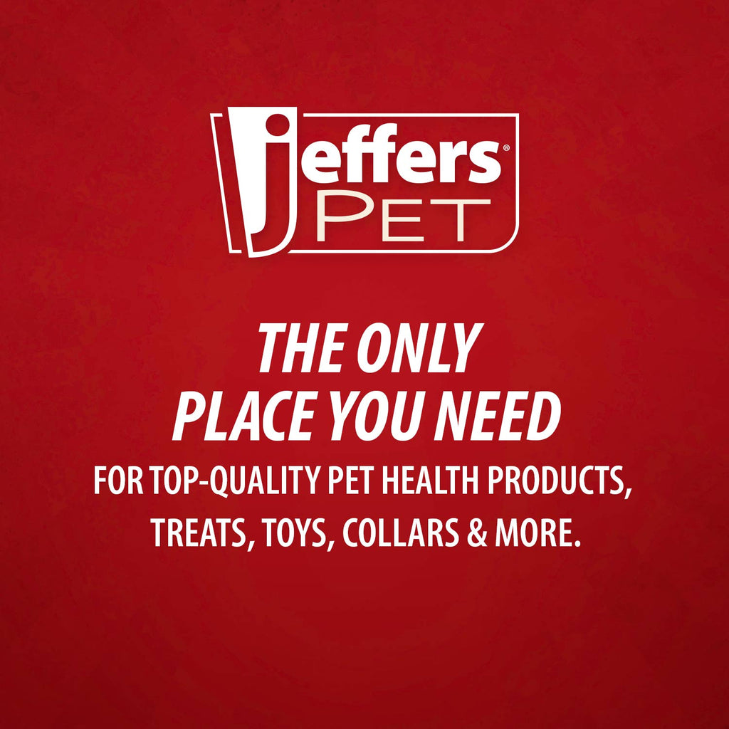 Jeffers Leaf Shaped Natural Rubber Dog Chew Toy with Dental Benefits and Vanilla Scent for Medium Chewers