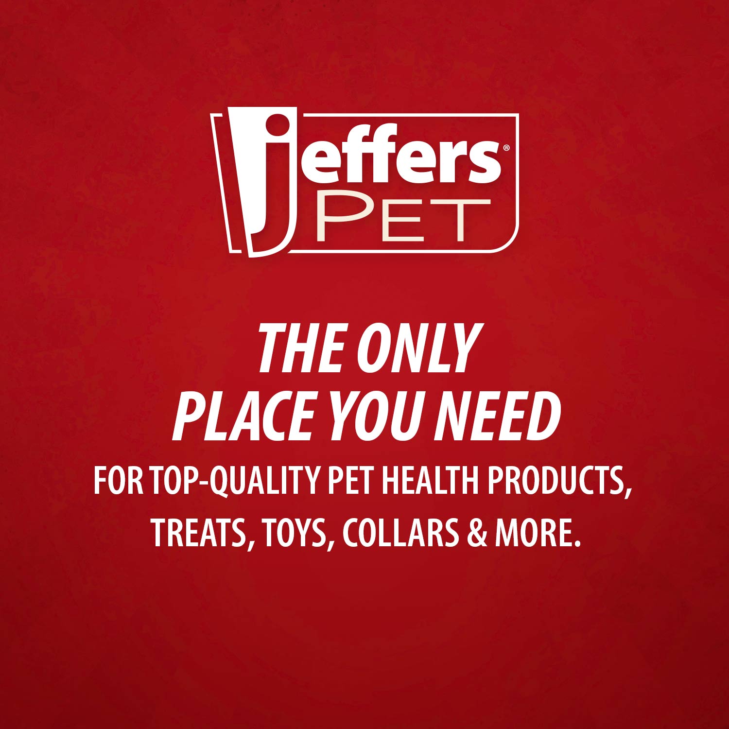 Jeffers Baby Carrot Natural Rubber Treat Dispensing Dog Dental Chew Toy