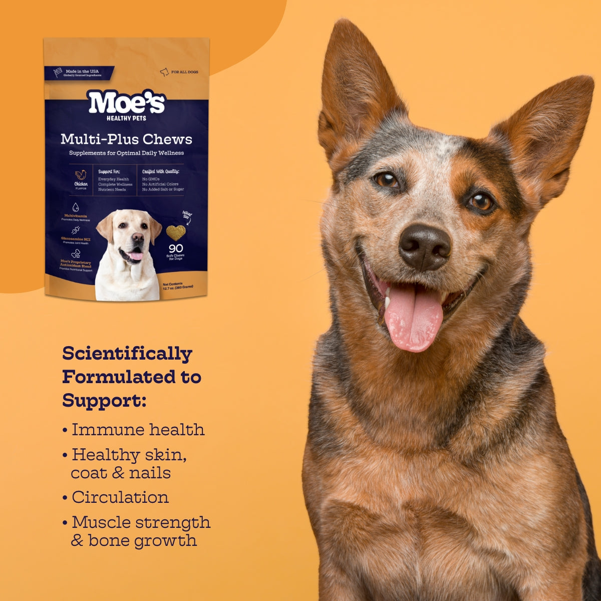 Multi-Plus Chews