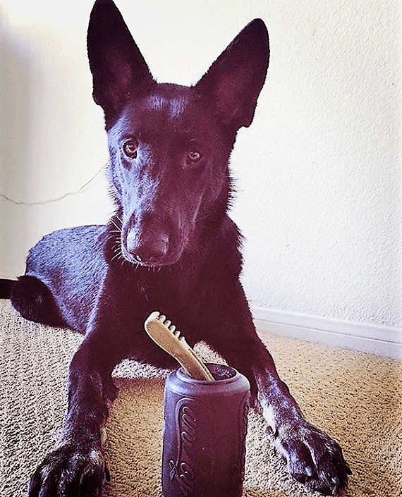 Magnum Can Toy Rubber Dog Chew Toy for Extreme  Chewers | Treat Dispenser | USA Made